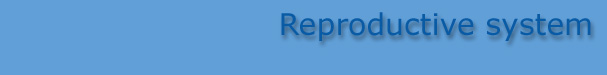 This is a banner image showing 