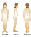 This is an illustration showing views of the body.